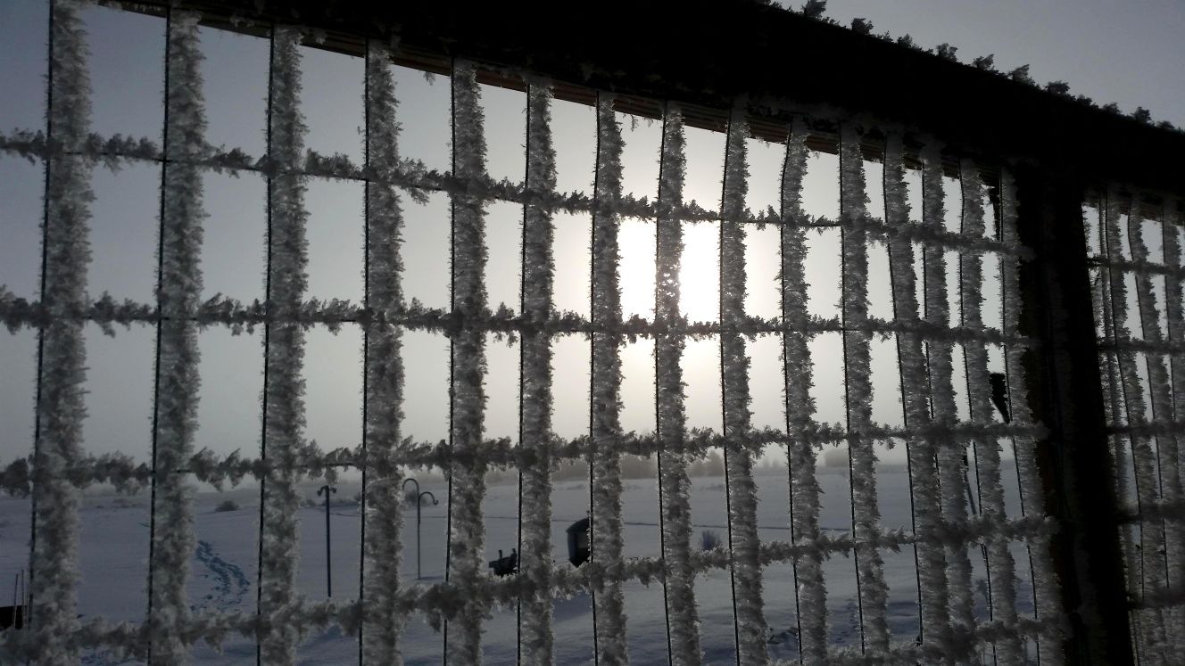 Fence Frost